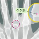 21세기의원 이미지