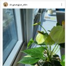 4월 명품청송 아카데미 강연 | 지금 당장, 오래오래 행복하게 사는 3가지 방법 | 오로다데이 후기 ORODA DAY