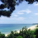 동호바다펜션민박 이미지