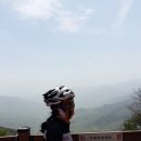 악양면사무소 이미지