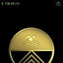 인생1년차