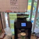 영월 아이와 가볼 만한 곳, 사랑나무캠핑장 타프존 6번 후기 계곡·온수풀 있는 키즈캠핑장