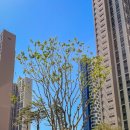 이편한세상 거제 유로아일랜드 이미지