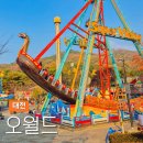 서대공원로 옥천-11-1 | 오월드 야간개장 가격 대전 아이와 가볼만한곳 야경 명소