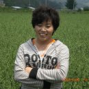 성기 농장 이미지