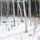 서석면행정복지센터 이미지