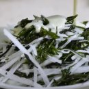 신지운 카카오 검색결과