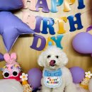 옐레드 부천상동점 이미지