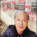 애국운동과 구로구청장 보궐선거에 나타난 개목사 새끼 이미지