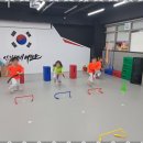 태비태권도 이미지