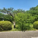 맹산환경생태학습원 | 판교 맹산환경생태학습원 숲체험 당첨 후기