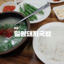 정통밀양돼지국밥 이미지