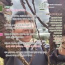 초록꿈디자인