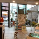 페츠베리머치 카페 이미지