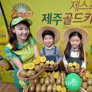 낮은제주 이미지