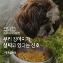 가온동물병원 이미지