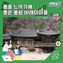 봉화초등학교 | 봉화여행 ① 바래미마을 ❹