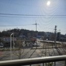 송화 우미 이미지