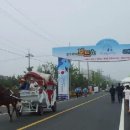 세계 요트대회 화성시 전곡항 견학 일기 이미지