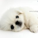 승연이네