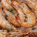 대부해솔길 4코스 이미지