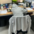 하누둥이 | 6-7워레 일기