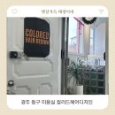 컬러드헤어디자인 | 광주 동구 미용실 컬러드헤어디자인 전체염색 후기