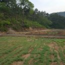 송곡농장 이미지