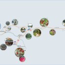 팔공산왕건길 4코스 이미지