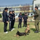 대정여자고등학교 이미지