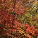 상운농장 | JTBC 트레일 코리아 시즌2 / 서울둘레길 8코스 후기 / 8코스 북한산코스 후기 / 서울둘레길 추천