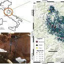 원광맥한의원 이미지