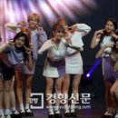 트와이스 이미지