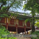 죽림 | 강화도 가볼만한 곳 전등사 수국 산책 및 죽림다원 이용 후기