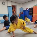 서래태권도 이미지