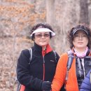 자매여인숙 이미지