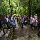 오두산 치유숲 이미지