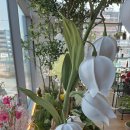 포시즌디자인