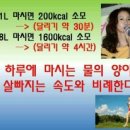 에스핏점핑다이어트