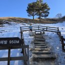 엘림목장 이미지