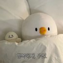 선근이네 | 봄바람이 자꾸만 불어와