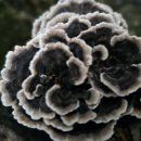 상북면행정복지센터 이미지