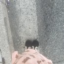 형진식품 이미지