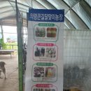 달맞이농장 이미지