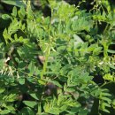 기림농장 이미지