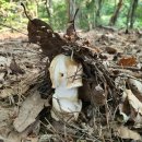 명문요양병원 이미지