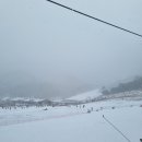 [전북/무주] 무주스키장 근처 양지뜰 캠핑장에서 2박 3일 머물다.