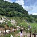 세이지우드 홍천산양목장 이미지