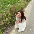 [인증] #더하다, 오후도 힘내세요🐥 이미지