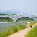 오수의견관광지 이미지